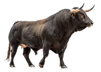 Imagen PNG para descargar